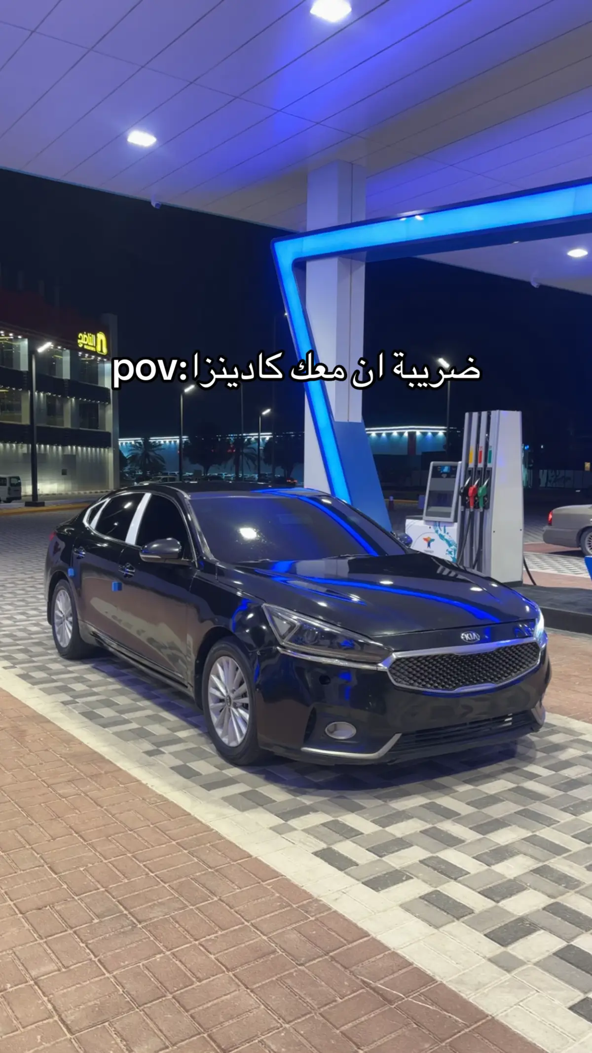 #كادينزا #explore #fyppppppppppppppppppppppp #اكسبلوررر #viral 