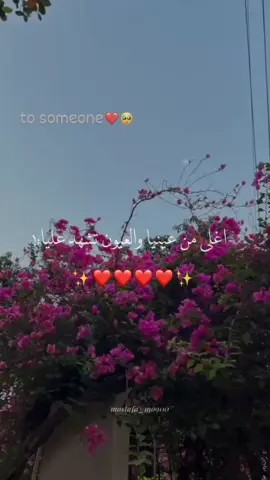 #اغلي_من_عينيا_والعيون_تشهد_عليا #بتاعedit 