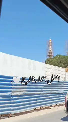 🤍🤍🤍#المرج #🇱🇾 #اكسبلور 