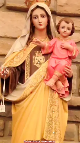 Our lady of mount Carmel ✨🙏 #ourladyofmountcarmel #mountcarmel #malayalam #christian #CapCut #malayalamsong #catholic #catholictiktok #🙏 