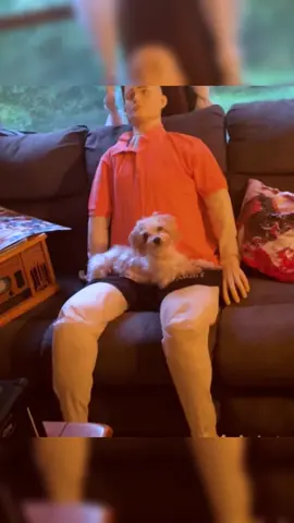 Tiny Senior Dog Is Obsessed With Life-Sized Emotional Support Doll #dog #dogsoftiktok #animals 