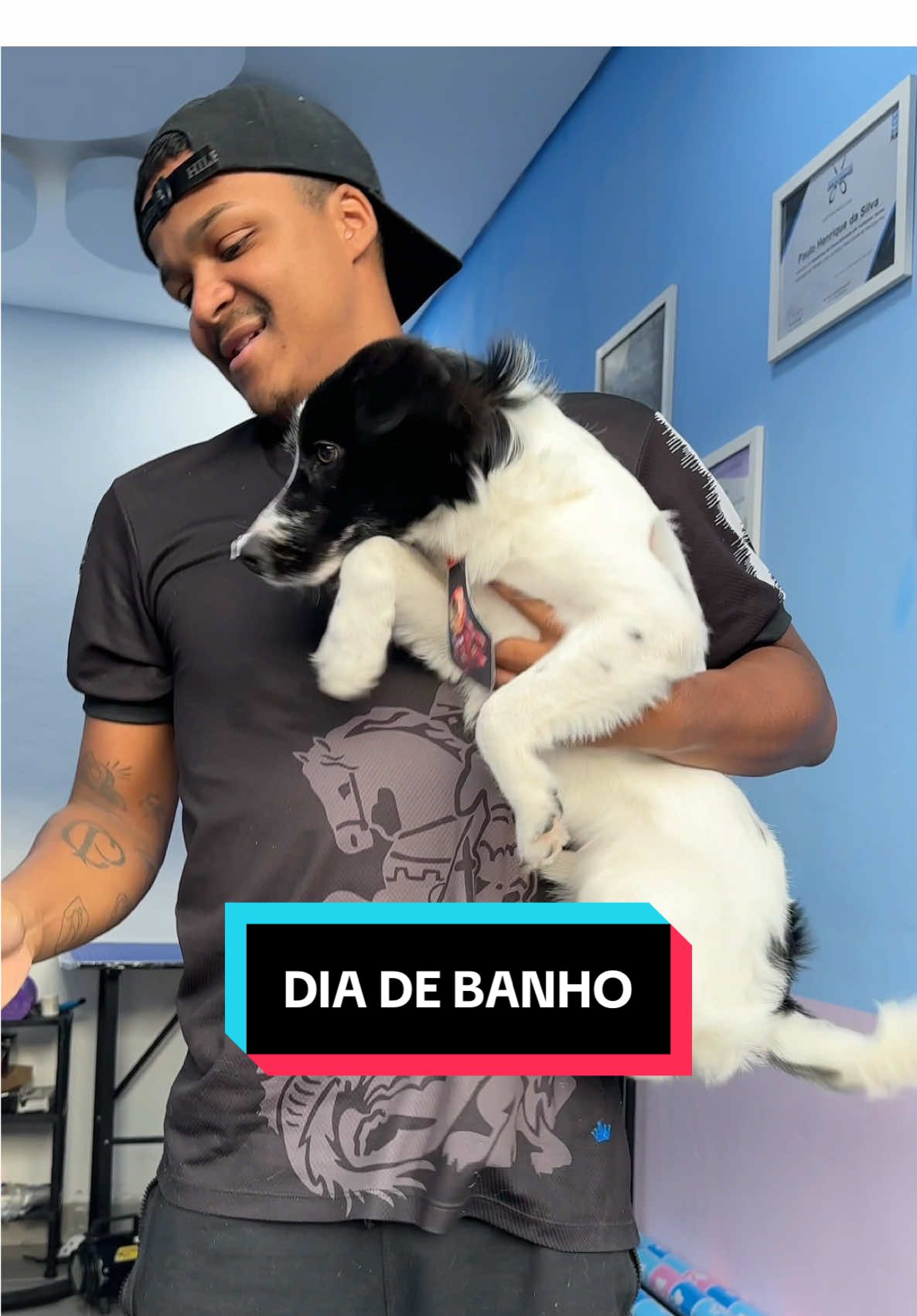 Vlog da rotina de quinta-feira, com banho no e tosa no Romero e muita correria #Vlog #rotina #routine #cachorro 