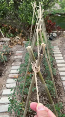 Handy trick to use in the garden!#knot #rope #knottutorial #knottutorials #campinghacks #camping #knotsforfishing #knotsforbeginners #lifeskill #LifeHack #boyscouts #bushcraft #survivalskills #Outdoors #knotting #sheetbend #hitch #simpleknot #bestknot #knotsforcamping