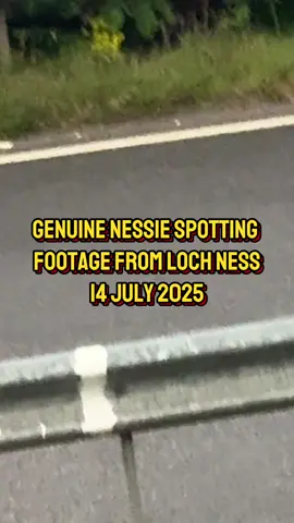 I can’t believe we saw NESSIE. 😱 #nessie #lochness #lochnessmonster #lochness
