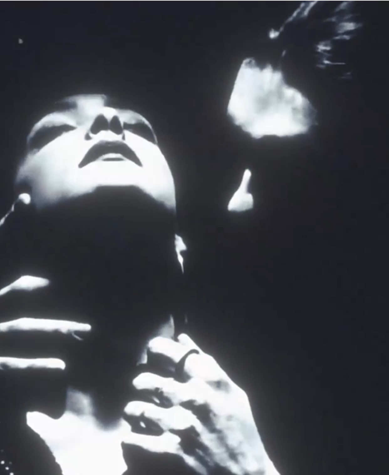 BLACK NO.1 - #typeonegative #typeonegativeedit #petersteele #petersteeleedit #goth #gothmetal 