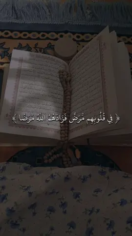 القارى ماهر المعيقلي 🖤✨#quran #fyp #قران #sb3zaid0 
