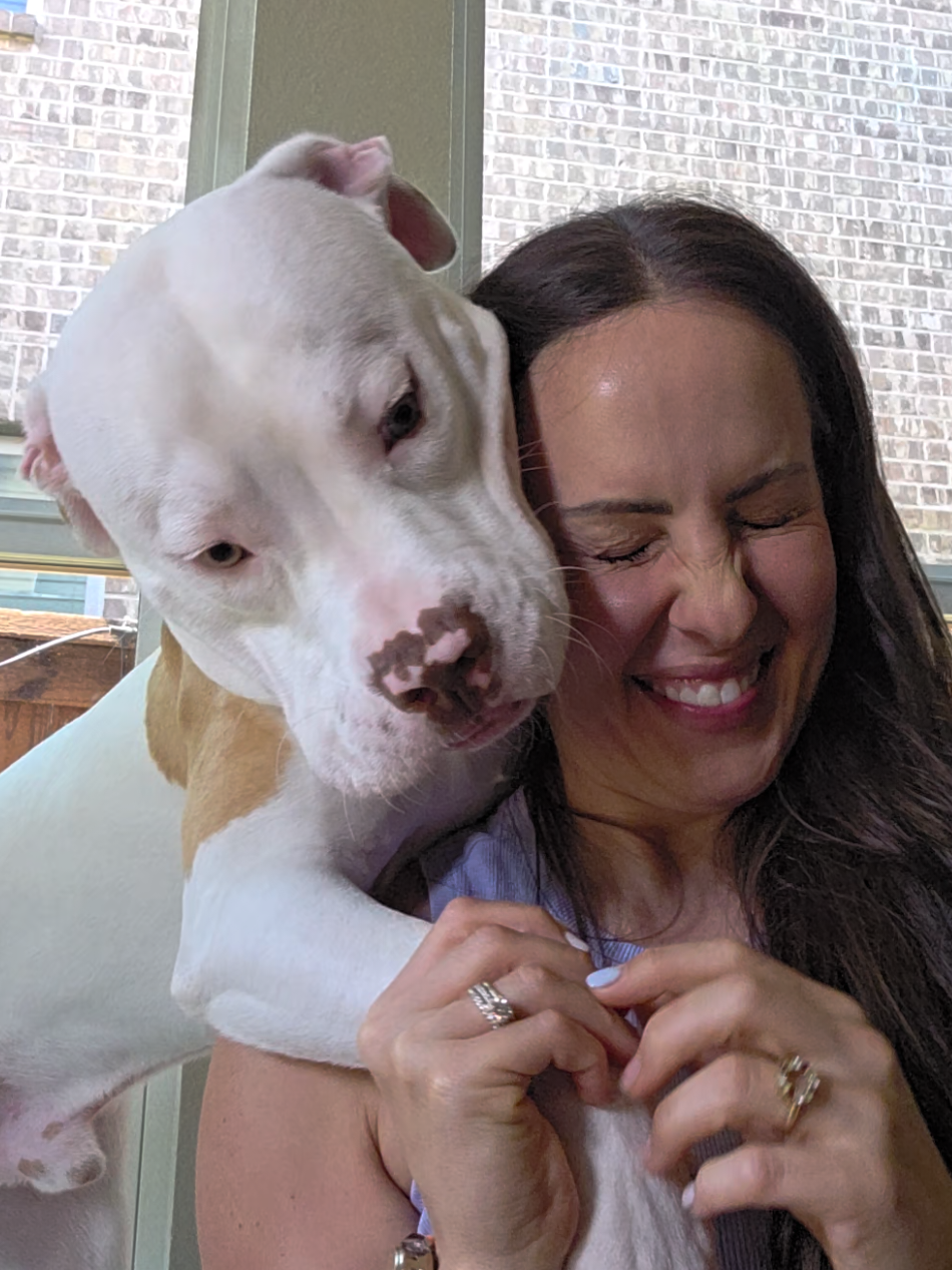 No music. No edits. Just real life with this sidekick. Let us see your sidekicks! #bruceandbanana #dogsoftiktok #behindthescenes #bullylife #sidekick #americanbulldog #pitbullsoftiktok #puppylife #chaoscoordinator #dogmomlife #dogsofinstagram #PetsOfTikTok 