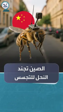 #الصين تتحكم بعقول النحل عبر أخف شريحة دماغ في العالم للتجسس وعمليات الإنقاذ #العالم_في_دقائق #العربية