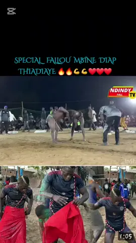 #Spécial Fallou Mbine Diap ay chute you extraordinaire