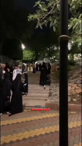 لقى بعد غياب سنة🥺 #جازان #like #explore #fyp #أبها 