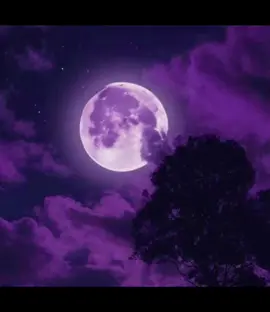 This vibe with purple>>> • • • • #purple #vibe #purplecore #core #whimsical #whimsicore #night #viral #fyp #fypシ #fantasy #mythical 