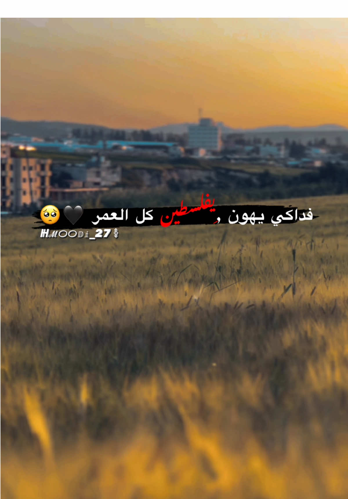 فداكي يهون يفلسطين كل العمر 🖤#جنين #عباراتكم_الفخمه📿📌 #طريق_الجنة💚 #تصويري📷 #fypシ゚ #عبارات #احتراف #عبارات_جميلة_وقويه😉🖤 #تصميم_فيديوهات #احسنو_الظن_بالله 