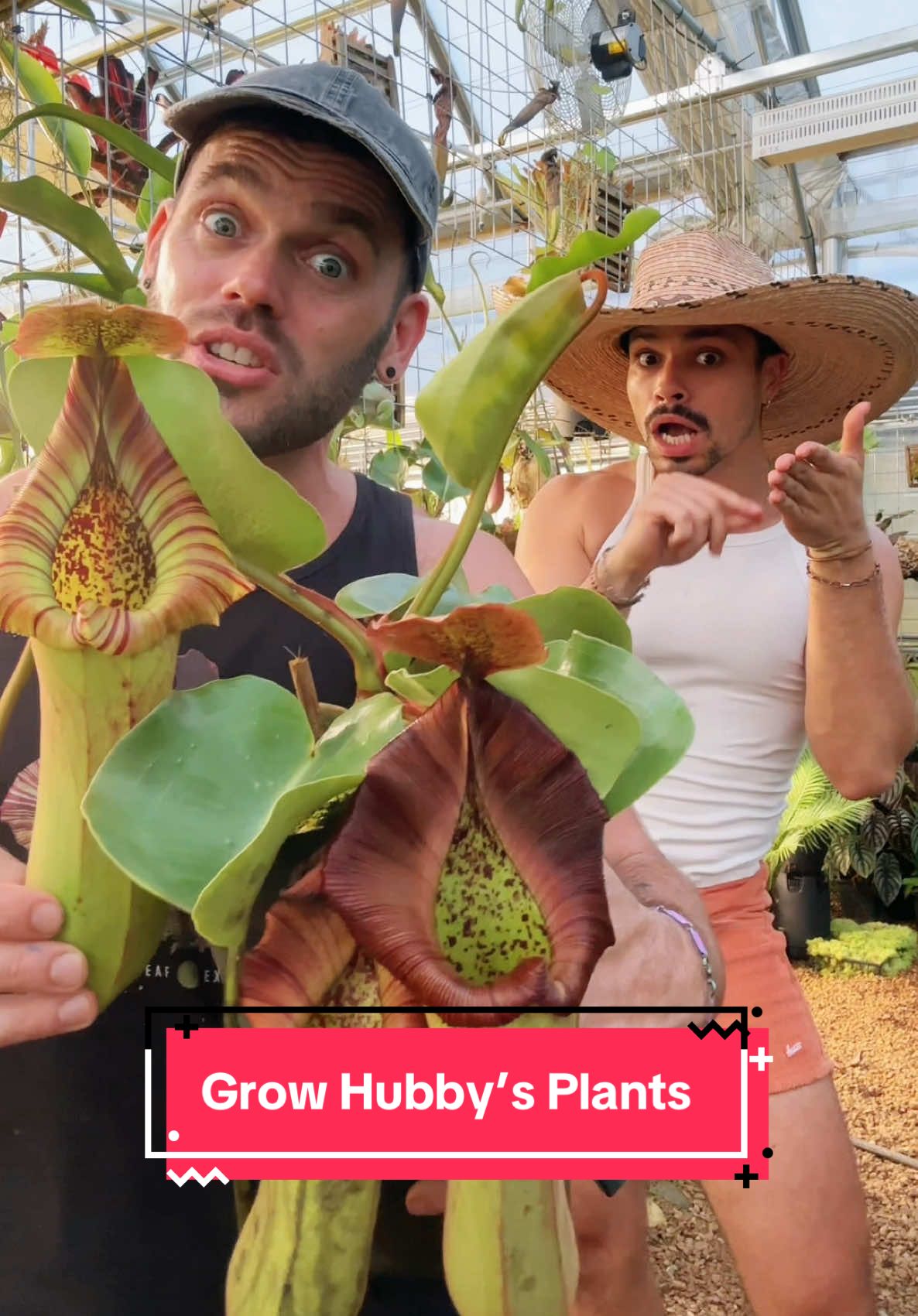 Learn how to grow my hubby’s fave plants NOW 🫵🏽😡 Check him out @Redleaf Exotics  #plants #exotic #abundance 
