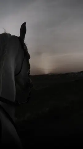 #CapCut #اكسبلور #سليت_سيفي_في_سبيل_الله_واسرجت_الجواد #ترند 