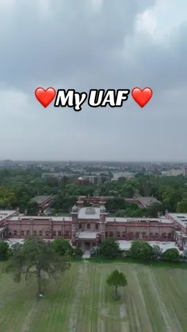 Tears in my eyes, memories in my heart❤️ #fyp #foryoupage #tiktokpakistan #foryou #uaf 