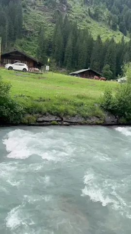 #روزنلاوي سويسرا#🇨🇭 