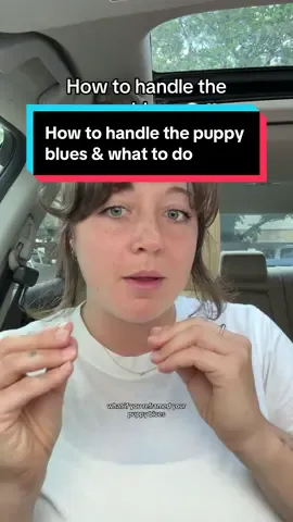Trust me, this is the BEST way to handle the overwhelming feeling of puppy-hood. Ask me anything in the comments! #newpuppy #puppyblues #puppybiting #puppytraining #dogtraining101 