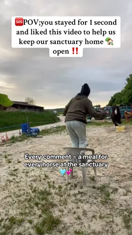 Please 🙏 follow to help us keep our sanctuary open,any kind support is really appreciated 🩵.#equine #horselife #equinelove #animalphotography #horsemom 