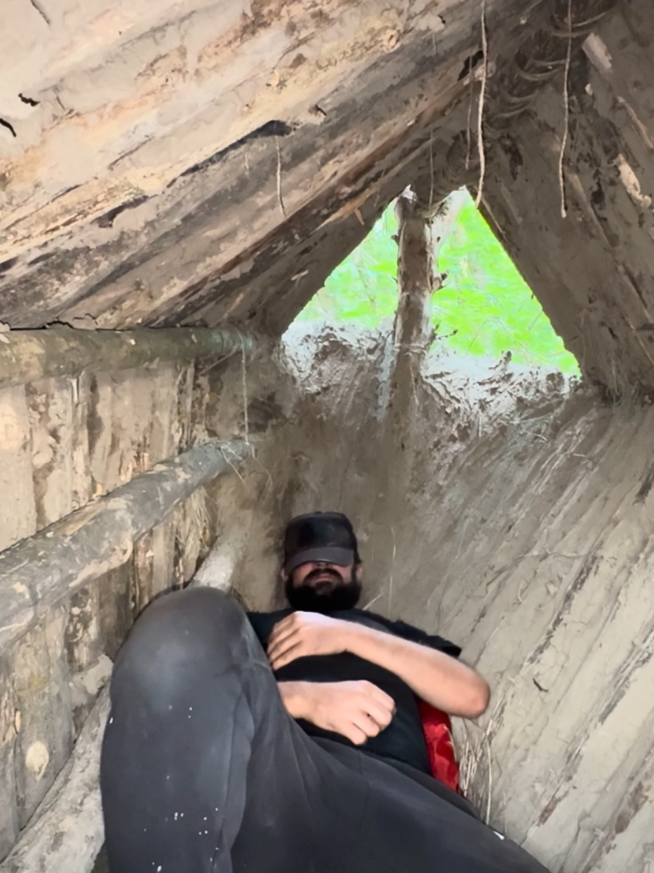 How to build a reliable tree shelter #survival #bushcraft #2025 #travel #camping #camping24hs 