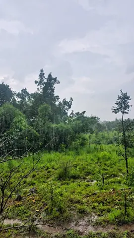 rain is the best cuz no one can see your tears 🙏🇳🇵#creatorsearchinsights #throttleandvines #nepal #panautivlogs 