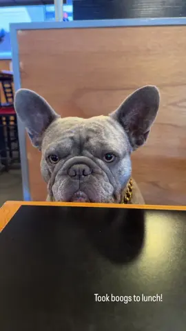 Lunch date with boogs! Be on at 7 est live tonight 