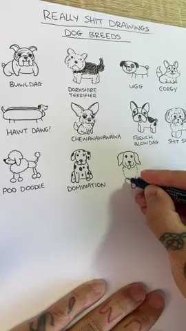 Really Bad Drawings Of Dog Breeds #doodle #kawaii #asmr #stim #drawing #sketchbook #dogs 