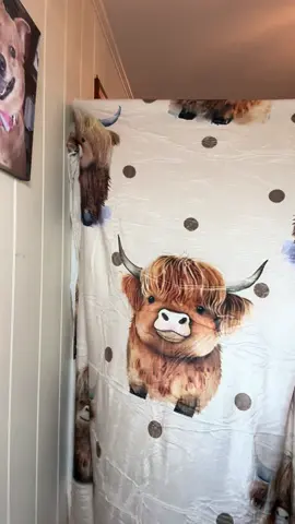 #highlandcow #blanket #western 