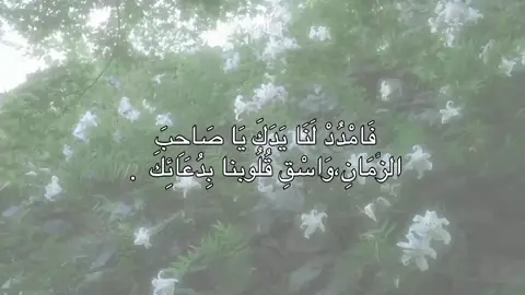 فَامْدُدْ لَنَا يَدَكَ يَا صَاحِبَ  الزَّمَانِ،وَاسْقِ قُلُوبنا بِدُعَائِكَ  #اللهم_صل_على_محمد_وآل_محمد #اللهم_عجل_لوليك_الفرج #متابعة #مشاهدات #مشاهدات_تيك_توك #اكسبلور #اكسبلورexplore #الشعب_الصيني_ماله_حل😂😂 #متابعه_ولايك_واكسبلور_احبكم 