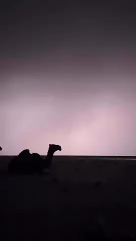 #اجر_لي_ولكم_ولوالدينا_وللمسلمين #استغفرالله #oops_alhamdulelah #لاحول_ولا_قوة_الا_بالله_العلي_العظيم #الله_اكبر 