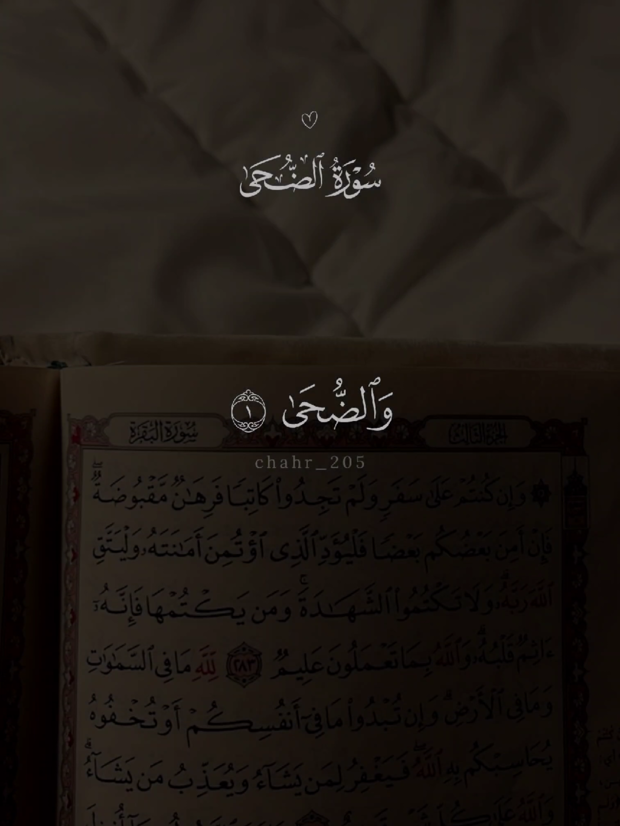 سورة الضحى 🤍 #quran #القرآن #quran_alkarim #القران_الكريم #qu_ran_n #تلاوة_خاشعة #qu_ran_n؛؛قرآن #chahr_205 #اجر_لي_ولكم #islamic_video #صدقه_جاريه #quran_114st 