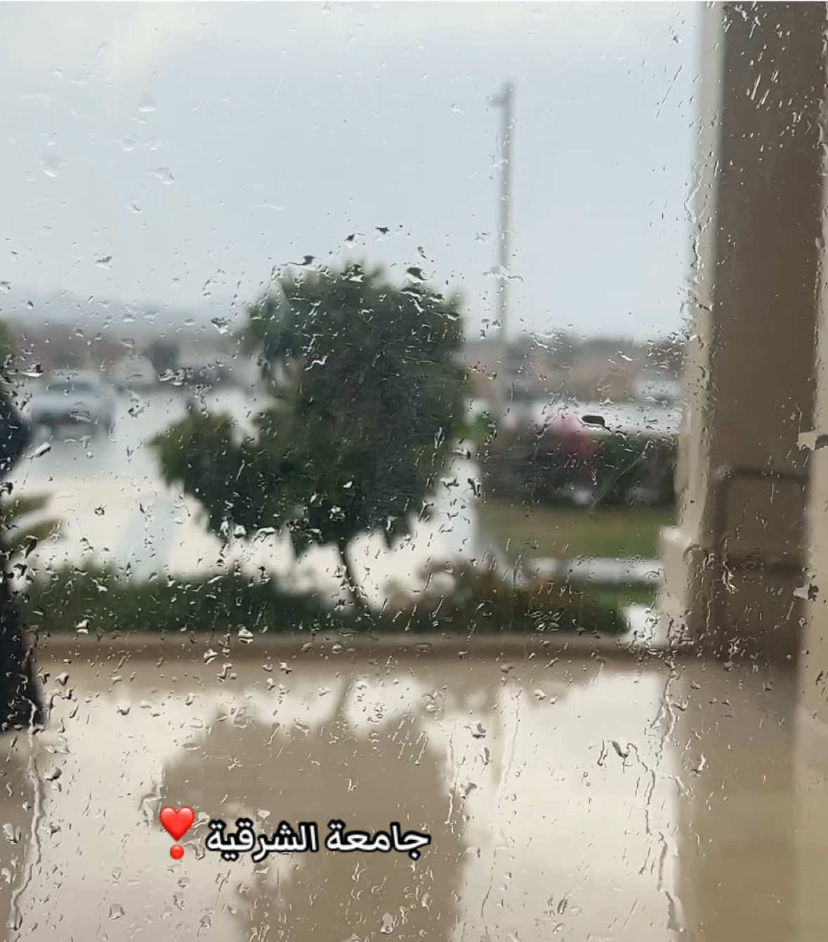 #مطر #جامعة_الشرقية #asu #fyp #اليحمدي #ابراء