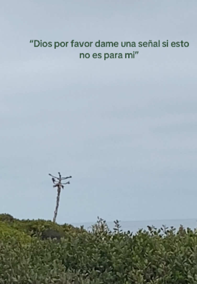 #jesussaves #jesuschristislord #godisgood #jesuslovesyou #fyp #foryoupage 