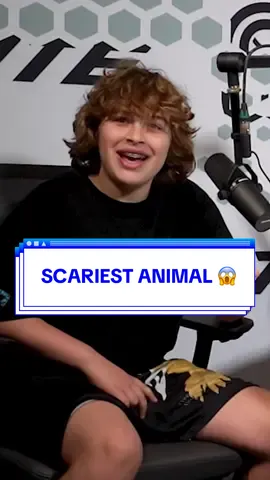 The stomp-on-a-snake plan is crazy 😂 @Nelson @Niles Neumann #pancakepod #overtime 