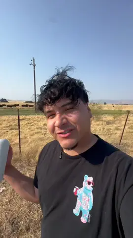 Trying to see if cows like jazz #fyp 