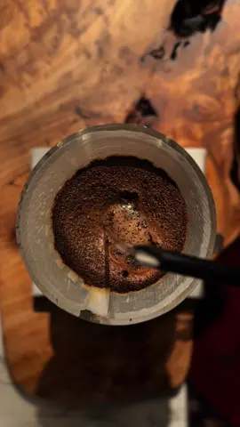 راحت سليمى فهل يوماً سالقاها #اغاني #بدون_موسيقى #your_coffee #v60 