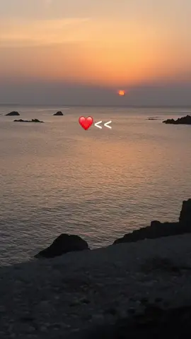 💜🤍🩶❤️