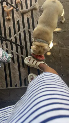 Interference always.