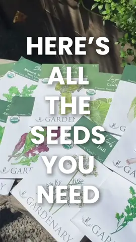 Go to my bio to get everything you need to have the BEST fall garden ever I've selected my favorite fall seeds and bundled them together for a super duper price #garden #fall #seeds #gardening #fallgarden #harvest #gardening101 