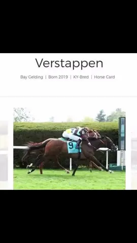 #fyp #fypシ #foryou #umamusume 