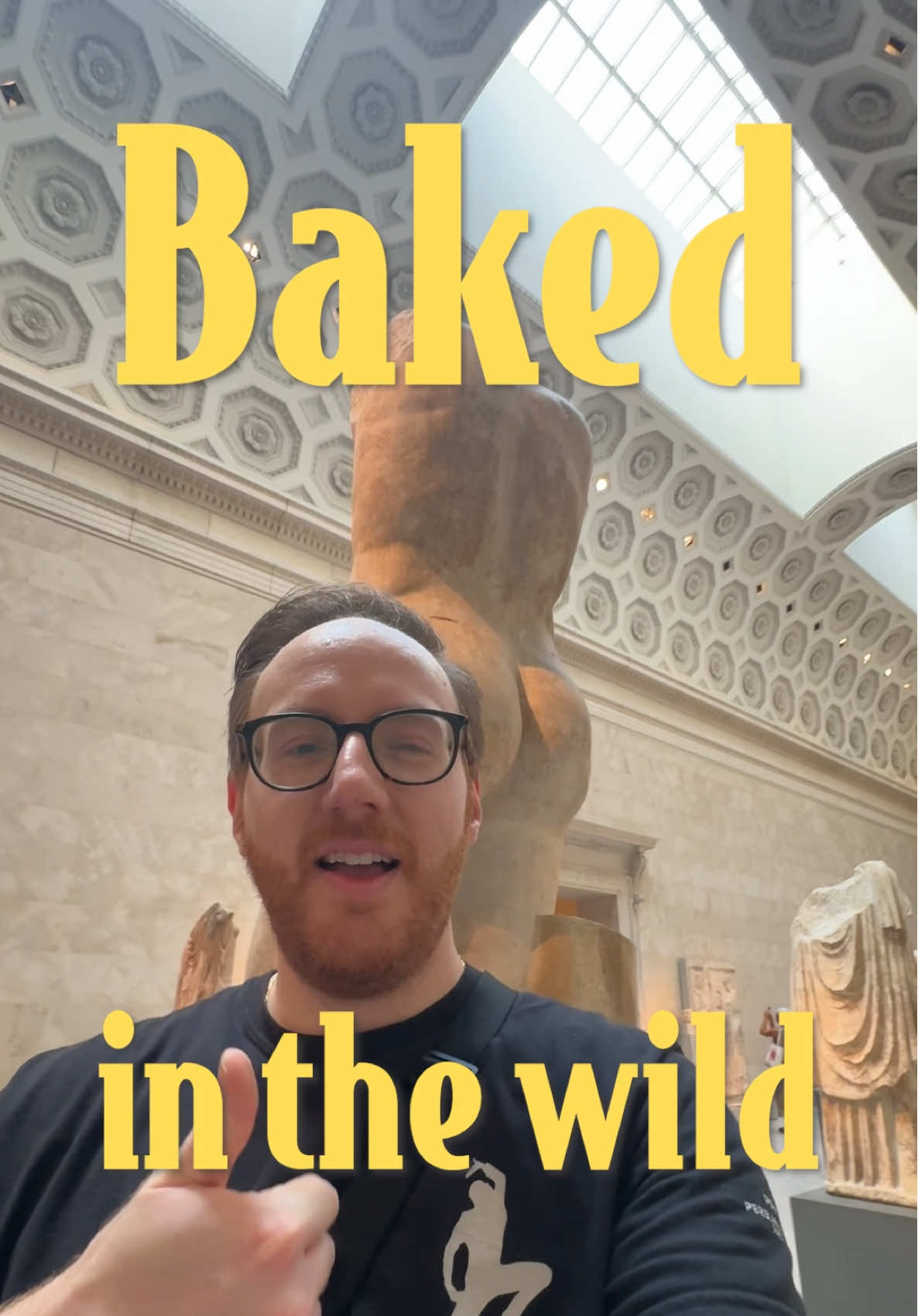 Got baked and went to The Met for THE ART  #funny #comedy #museum #nyc