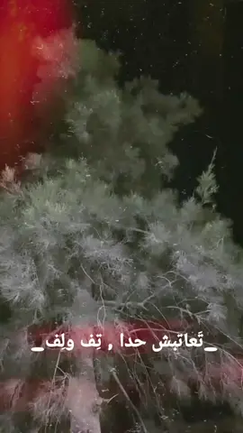 #الشعب_الصيني_ماله_حل😂😂 #اذنا #الخليل 