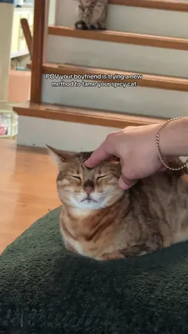 Im honestly not quite sure what was going on here, but I think it was working 💀🤣 #fyp #foryou #cat #cats #spicycat #bengal #bengals #bengalcat #boyfriend #catdad 