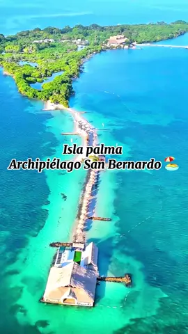 Isla palma 🌴 ubicada en el archipiélago San Bernardo a 2 horas de Cartagena de Indias, una de las islas más lindas y con las aguas más cristalinas en Colombia #islapalma #aguascristalinas #playas #cartagenadeindias🇨🇴 