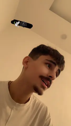 #foryou #fyp #ac #activ #foryoupage 🎼🕊️🐎