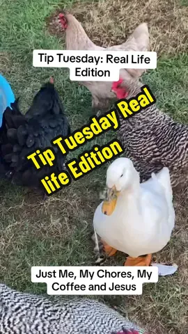 Welcome to my Tip Tuesday Vlog! Today I’m bringing you along for a real-life, no-filter day—from making the bed (even though my cat had other plans), feeding all the animals (rooster included!), sipping coffee with collagen, spending quiet time in the Word, doing a home workout, prepping for vacation, and finishing the day with an easy one-pot dinner. ✨ My tips today? 1️⃣ Start with structure — make your bed. 2️⃣ Feed your soul before you feed your schedule — time with God matters. 3️⃣ Workout at home — no gym required! 4️⃣ Clean before vacation — future you will thank you. 5️⃣ One-pot meals are a lifesaver on busy days. It’s not about perfection—it’s about priorities. Thanks for spending the day with me! 💛 #TipTuesday #fyp #ChristianVlogger #FaithAndRoutine #JesusAndCoffee