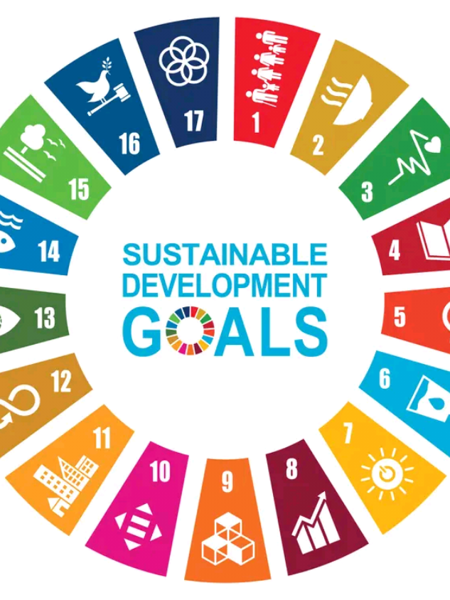 SDGs : Quality Education #spu #usc12067 #sdgdecodedbyfreshyspu 