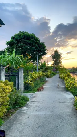 Chợt nhận ra mình đã già #xuhuongtiktok #binhyen #chualanh #annhien 