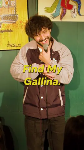 Las gallinas en Miami #Tips for Live Studio #PaidPartnership 