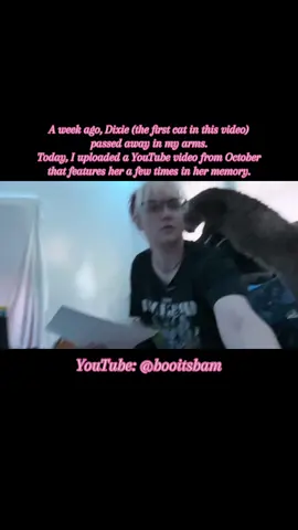 I made this ‘trailer’ for this video way back when I did my first initial edit of the video. I don’t think I ever was going to actually post the YouTube video, but now that my baby is gone, I have. This was posted for me and me alone, but I have it set public on my YouTube channel if you’re interested. I made my first handmade costume, Keyleth’s dress from Vox Machina, in the video.  Rest soundly, my dear Dixie. Momma loves and misses you so much. 26 August 2018 (her ‘gotcha’ day) - 8 July 2025 Vox Machina is owned and created by @Critical Role  Keyleth is owned and made by @Marisha Ray641  #booitsbam #petgrief #youtube #voxmachina #keyleth 