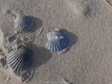 even if it's just in your wildest dreams #wildestdreams #taylorsversion #1989TaylorsVersion #1989 #taylorswift #taylorlyrics #swifties #swifttok #fy #fyp 